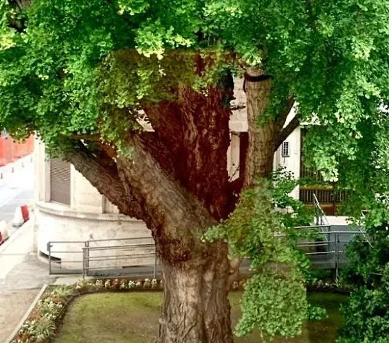 Ravenna Suite Apartamento